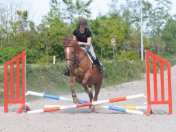 IMG_0555_web